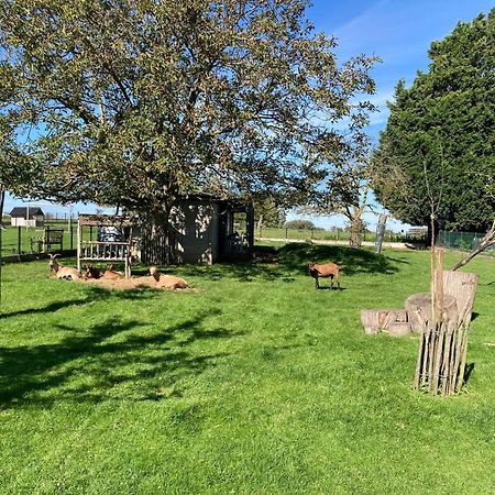 B&B Den Biesthoek Grimbergen Luaran gambar