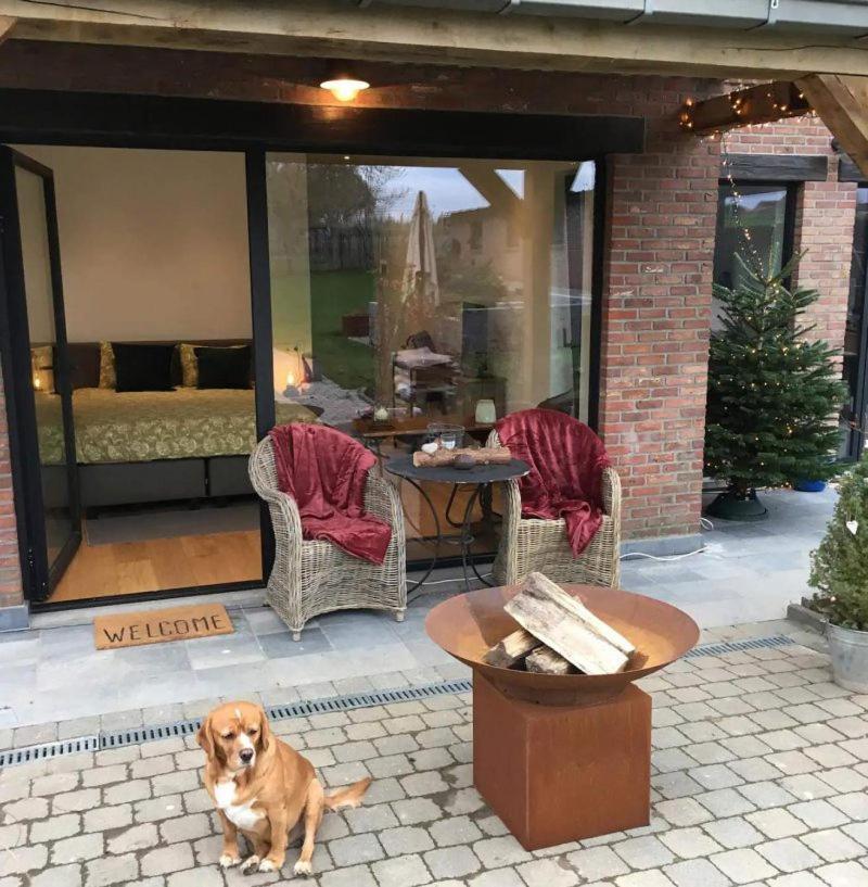 B&B Den Biesthoek Grimbergen Luaran gambar