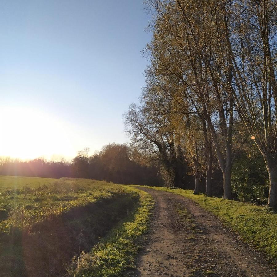 B&B Den Biesthoek Grimbergen Luaran gambar